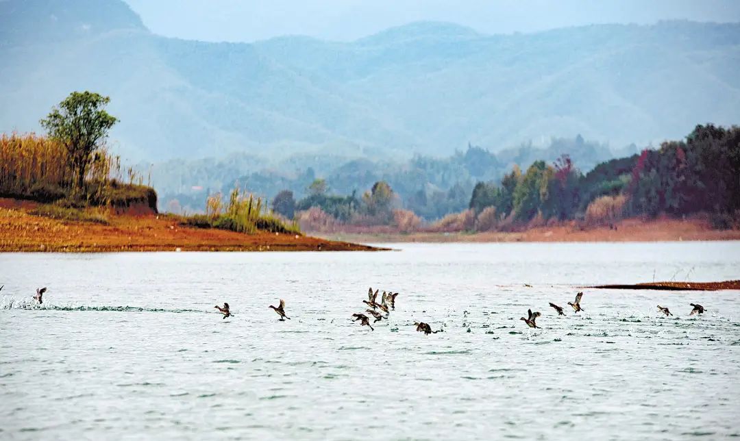 這個事情不做，砂石礦山企業(yè)不再批新證！